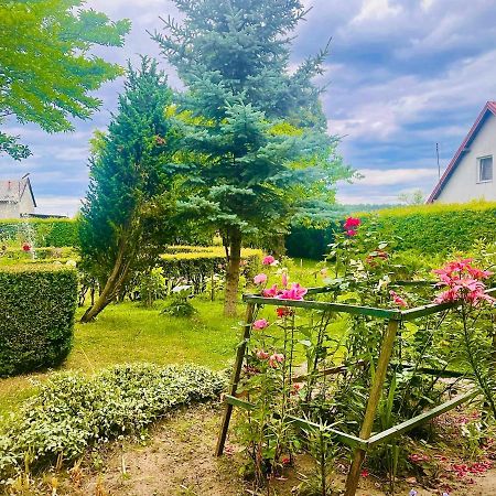 Agroturystyka Szerokopas ニジツァ エクステリア 写真